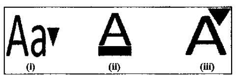 wordprocessing